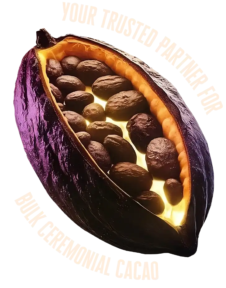 Vaina de cacao ceremonial